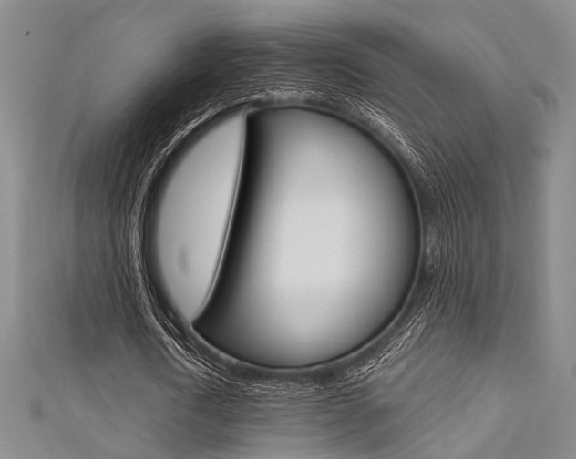 X0000111420722200907131019