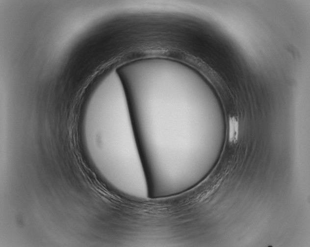 X0000111420723200907131019