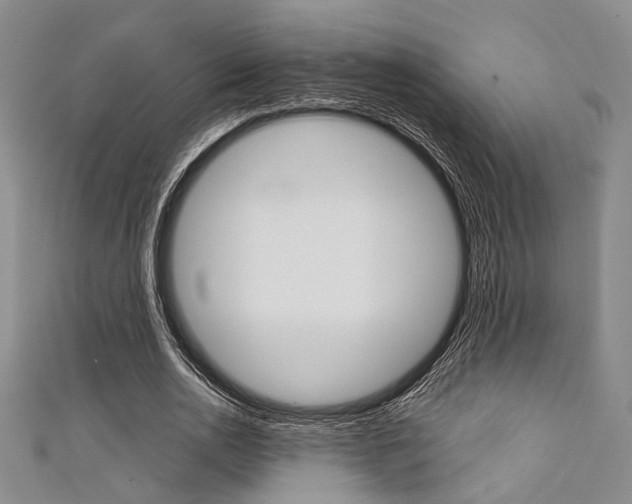 X0000111420726200907131019