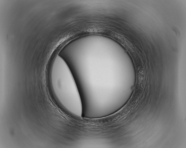 X0000111420727200907131019