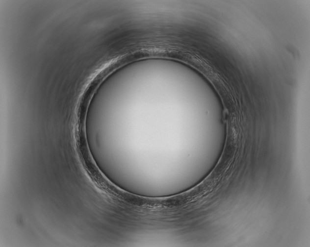 X0000111420728200907131019