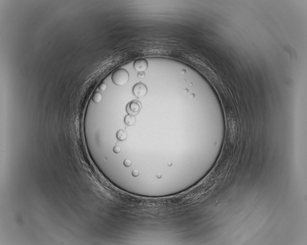X0000111420729200907131019