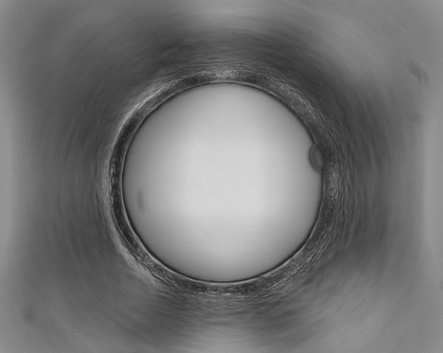 X0000111420730200907131019