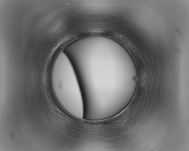 X0000111420731200907131019