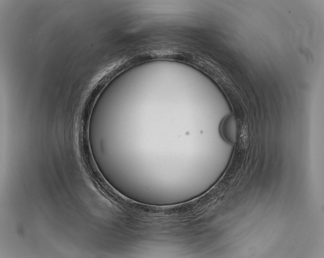 X0000111420732200907131019