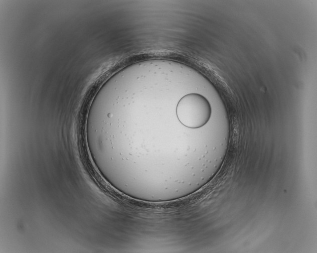 X0000111420734200907131019