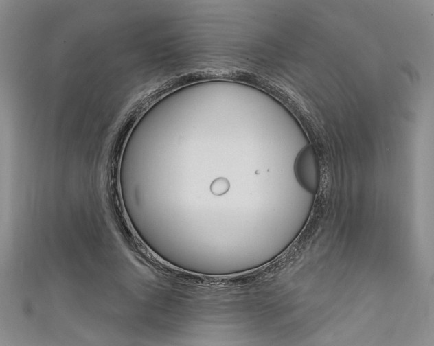 X0000111420736200907131019