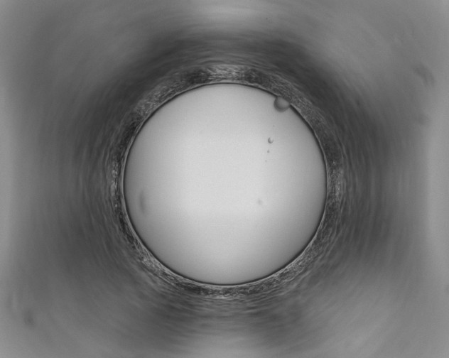 X0000111420737200907131019