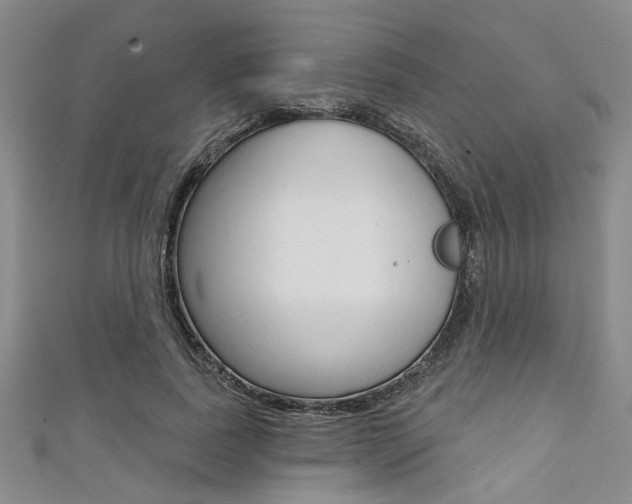 X0000111420739200907131019