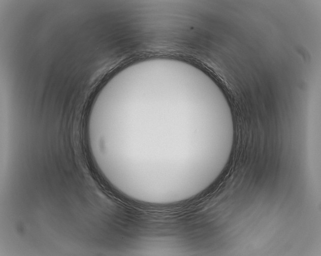 X0000111420740200907131019