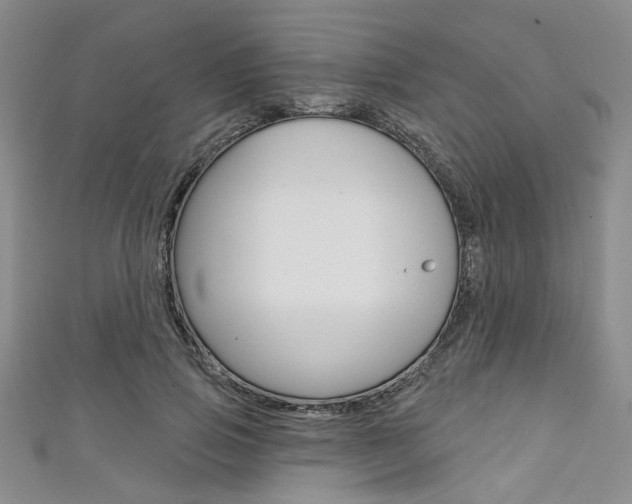 X0000111420741200907131019
