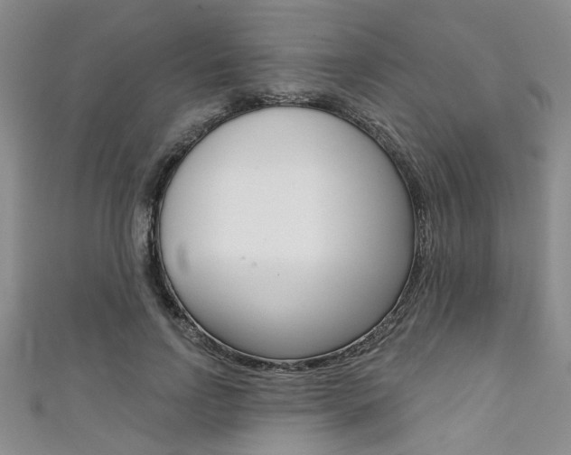 X0000111420742200907131019