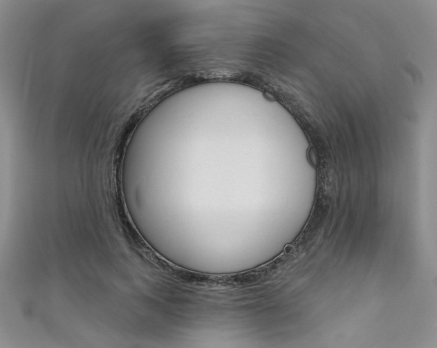 X0000111420743200907131019