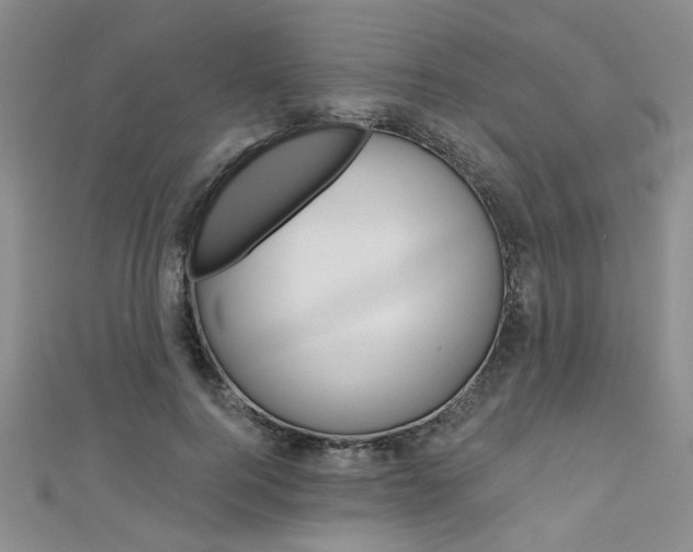X0000111420744200907131019