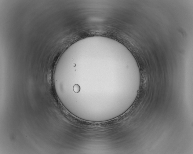 X0000111420745200907131019