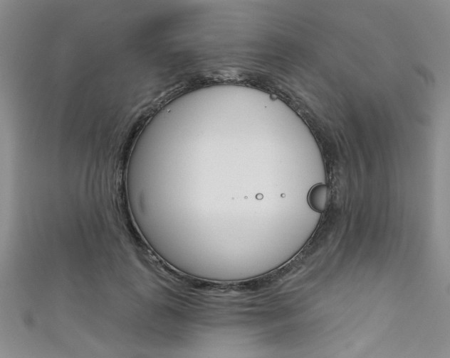 X0000111420747200907131020