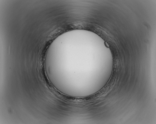 X0000111420751200907131020