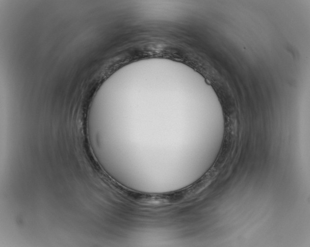X0000111420754200907131020