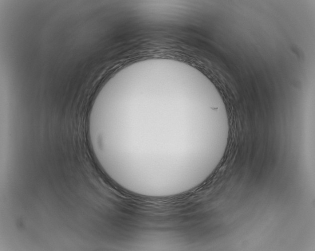 X0000111420756200907131020