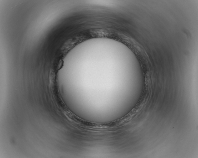 X0000111420760200907131020
