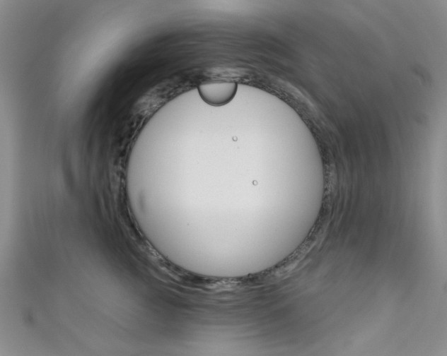 X0000111420761200907131020