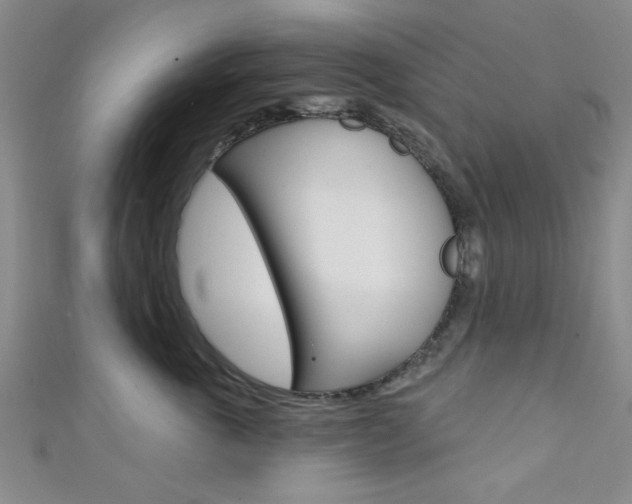 X0000111420763200907131020