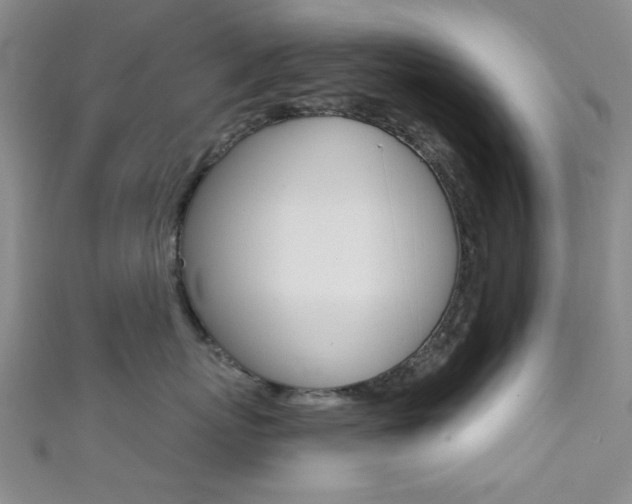 X0000111420767200907131020
