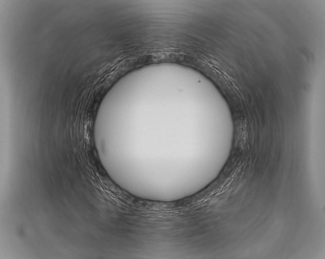 X0000111420770200907131019