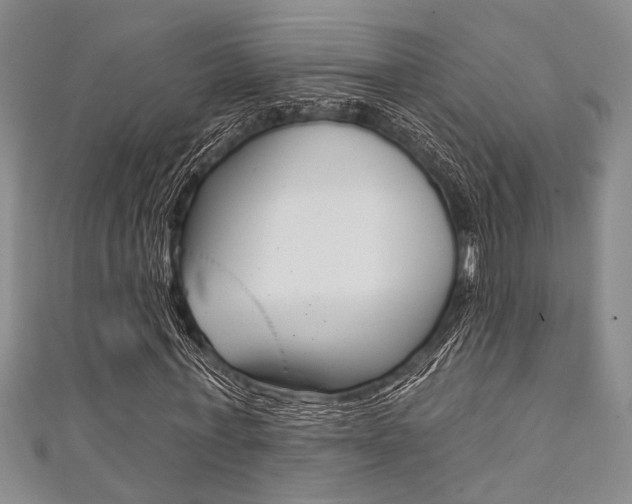 X0000111420771200907131019