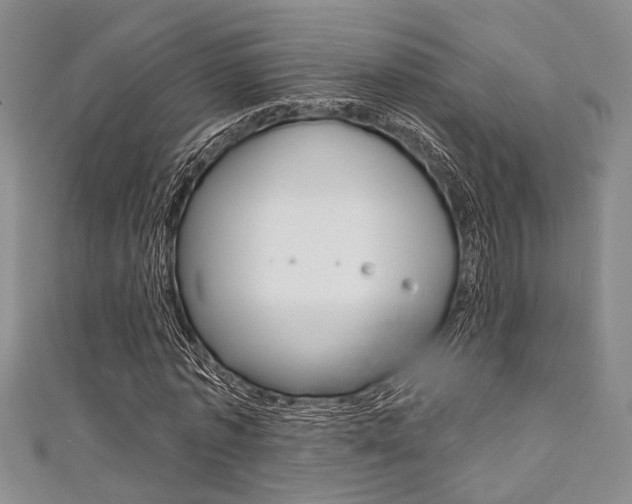 X0000111420773200907131019