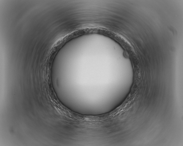 X0000111420775200907131019