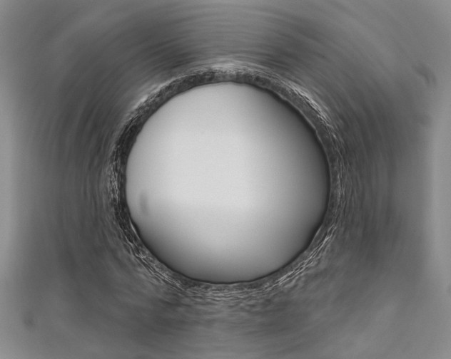 X0000111420776200907131019