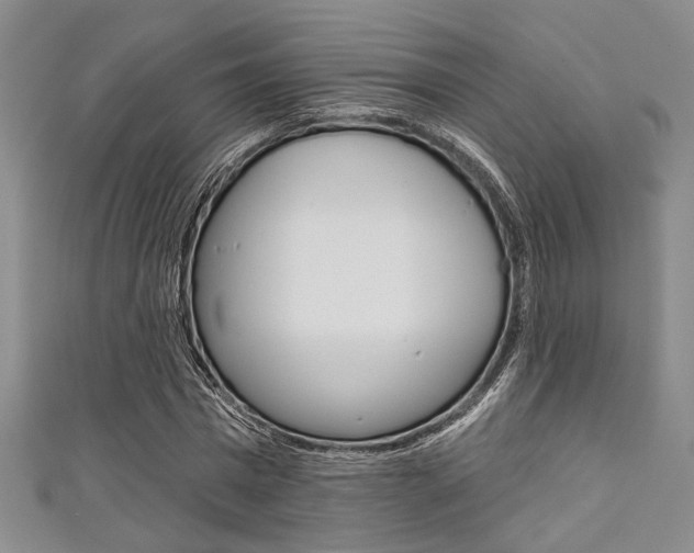 X0000111420777200907131019