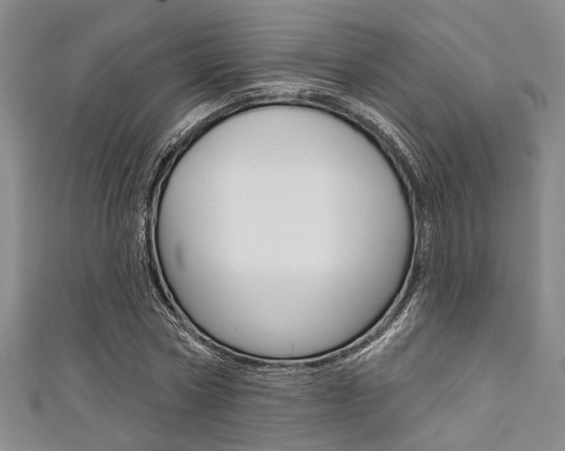X0000111420778200907131019