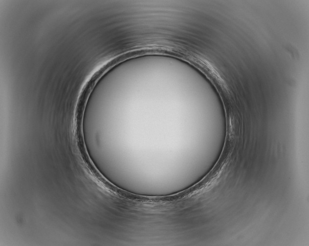 X0000111420780200907131019