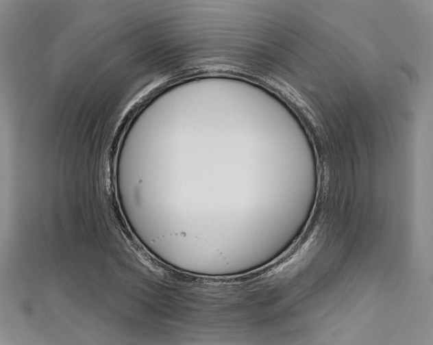 X0000111420782200907131019