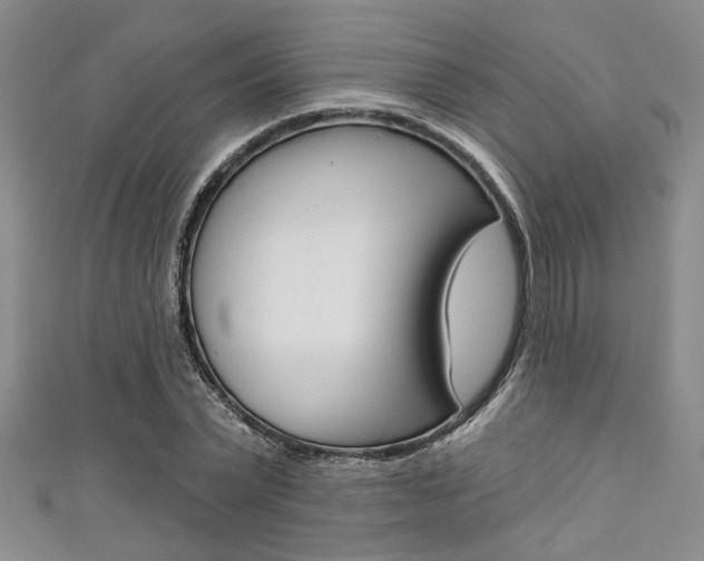 X0000111420783200907131019