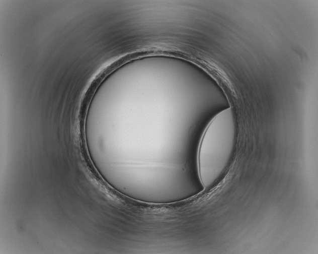 X0000111420784200907131019