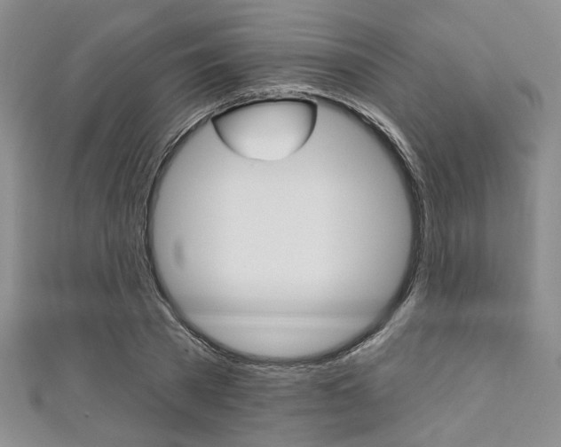 X0000111420785200907131019