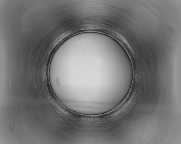 X0000111420786200907131019