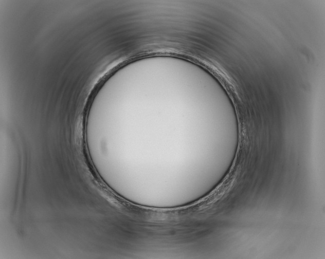 X0000111420790200907131019
