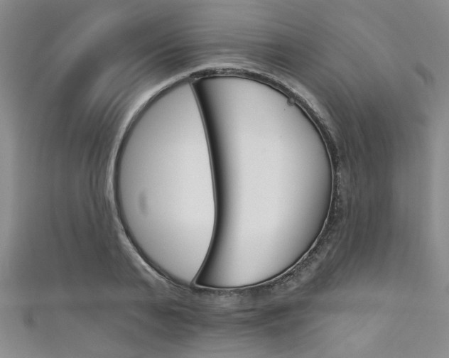 X0000111420791200907131019