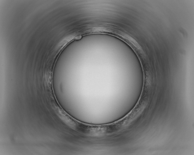 X0000111420793200907131019