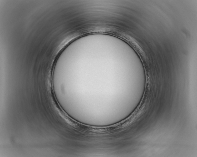 X0000111420794200907131019