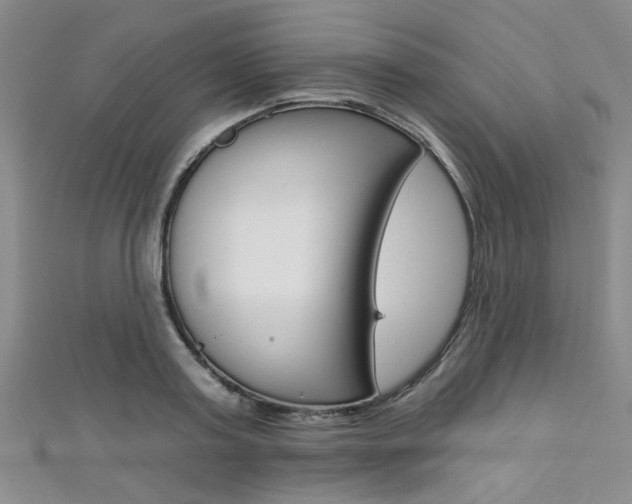 X0000111420795200907131019