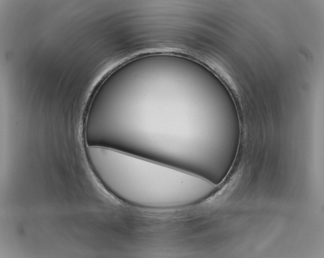 X0000111420797200907131019