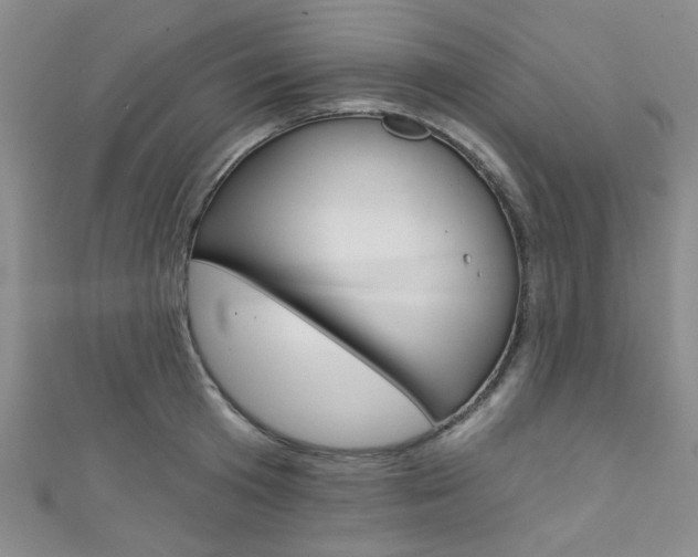 X0000111420801200907131019