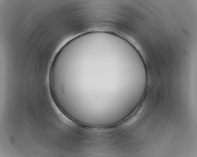 X0000111420803200907131019
