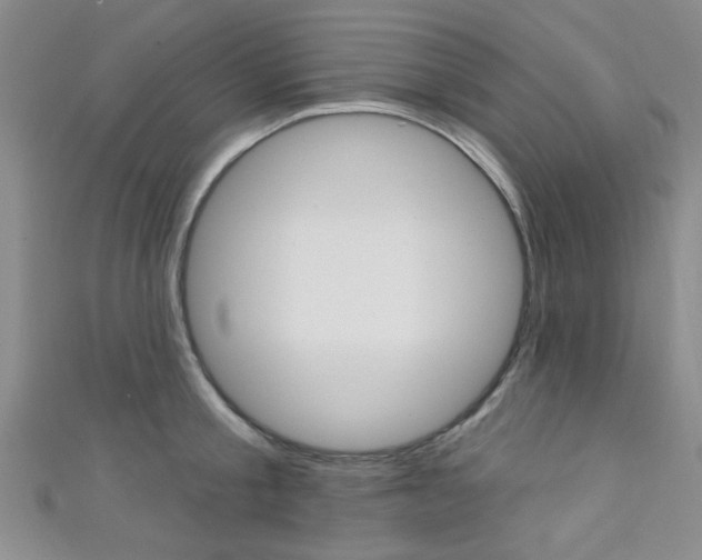 X0000111420805200907131019