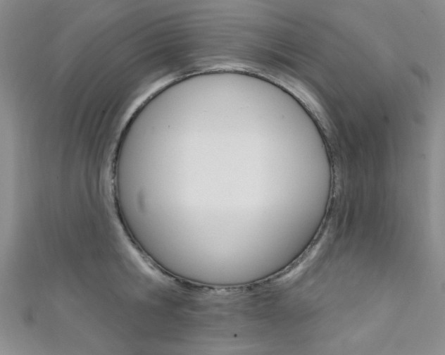 X0000111420806200907131019